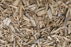 biomass boilers Sandal Magna